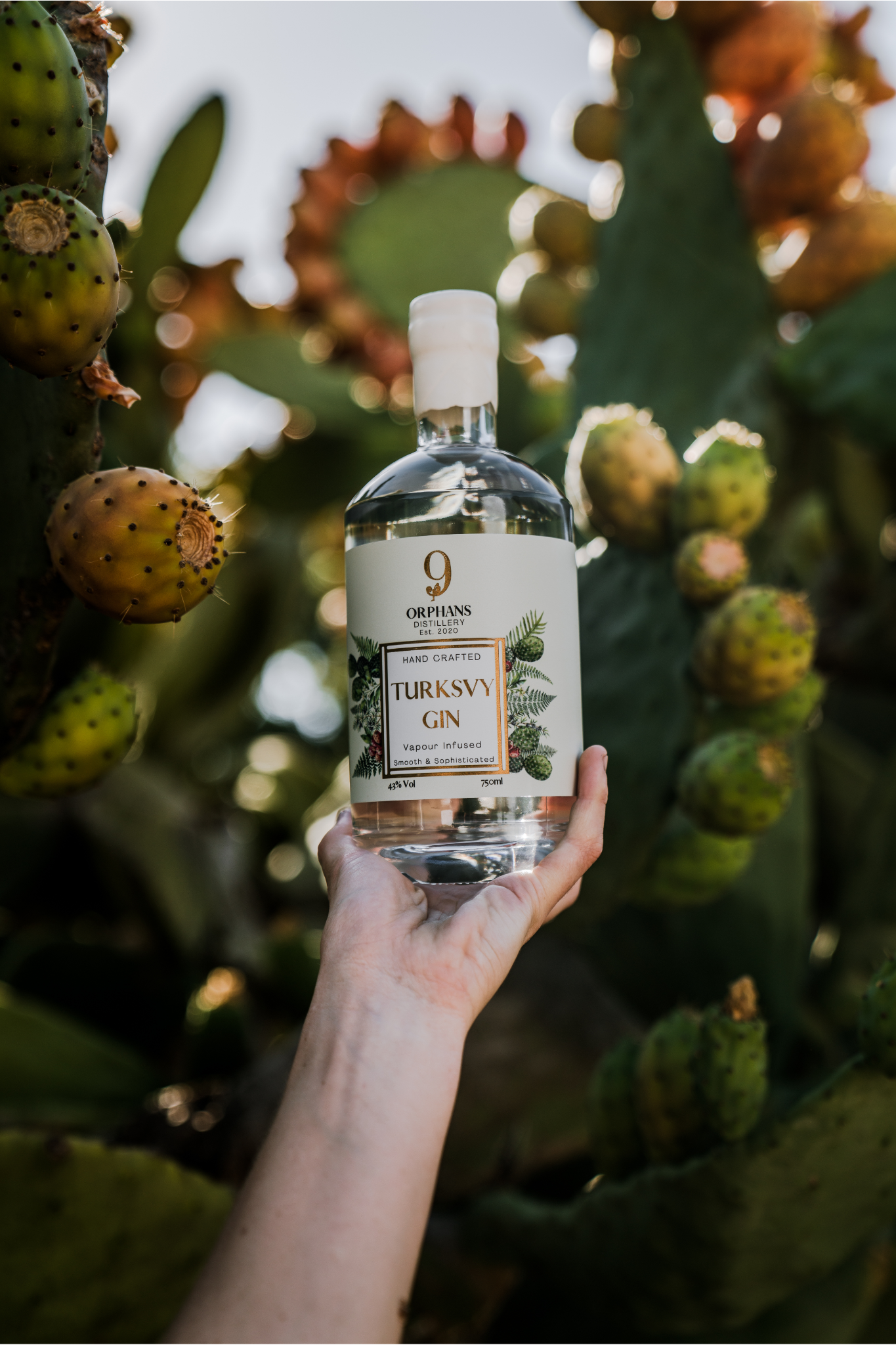 Locally crafted premium gin bottle